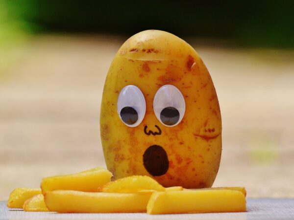 Potato is king of food